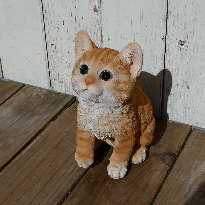 楽天市場】茶トラ 子猫の通販