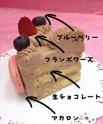 生チョコレートケーキ　バースデーケーキ　お誕生日　パーティー　記念日　サプライズ（丸）8号