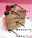 生チョコレートケーキ　バースデーケーキ　お誕生日　パーティー　記念日　サプライズ（丸）8号 2