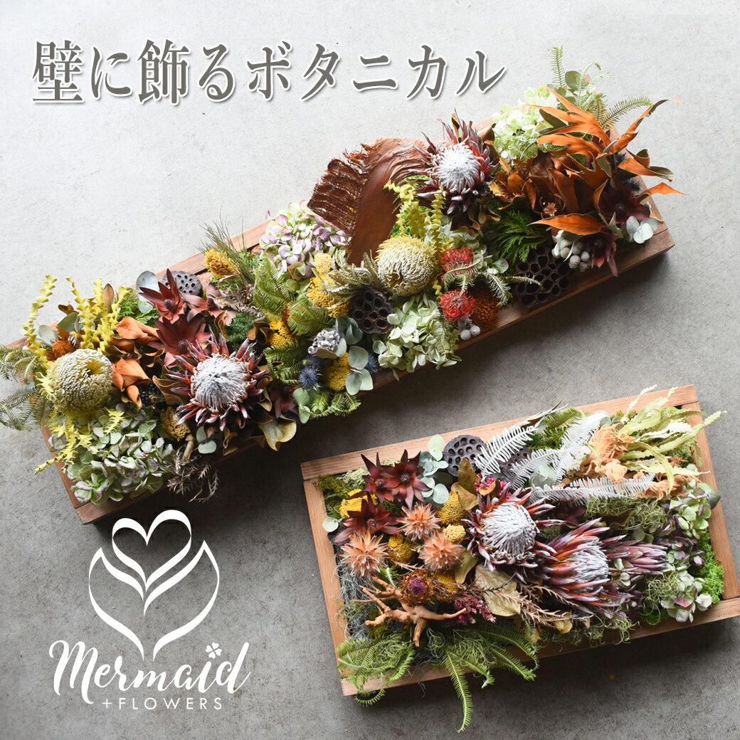 「ドライボタニカルウォール」 アレンジ ドライフラワー 開店花 開店祝い 開業祝い オープン祝い お祝い 贈り物 ビジネス 発表会 劇場 サロン 美容室レストラン 店舗装飾 新築祝い 開店祝い オーダーメイド 【地域限定】