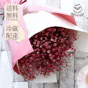 かすみ草 カスミソウ 花束 花 誕生日 お中元 サマーギフト 結婚 ウエディング 送別 祝い プレゼント 結婚祝い お礼 花束 赤いかすみ草 チェリー レッド ...