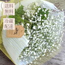 かすみ草 カスミソウ 花束(小さいサイズ) 花 誕生日 お中元 サマーギフト 結婚 ウエディング 送別 祝い プレゼント ギフト 結婚祝い お礼 花束 生花 ド...