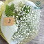 かすみ草 カスミソウ 花束(小さいサイズ) 花 誕生日 結婚祝い お礼 花束 生花 ドライフラワーにも 送料無料 フラワー送別 ギフト 祝い 退職祝い 母 誕生日 ホワイトデー
