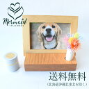 ペット供養 ペット 仏壇 骨壷収納 犬 猫 ペット 仏壇 かわいい メモリアルボックス ペット 手元供養 おしゃれ ペット仏壇 ペット 祭壇 ペット仏壇セット