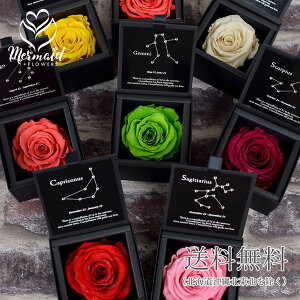 プレゼントに プリザーブドフラワー 『星座物語』 ダイヤモンドローズ BOX入り 結婚記念日 プロポーズにも 花 フラワー 誕生日 バレンタインデー ホワイトデー ひな祭り 節句 お返し プレゼント ギフト