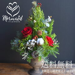 https://thumbnail.image.rakuten.co.jp/@0_mall/ohanakakumei/cabinet/dai1/1040xmastree2023.jpg