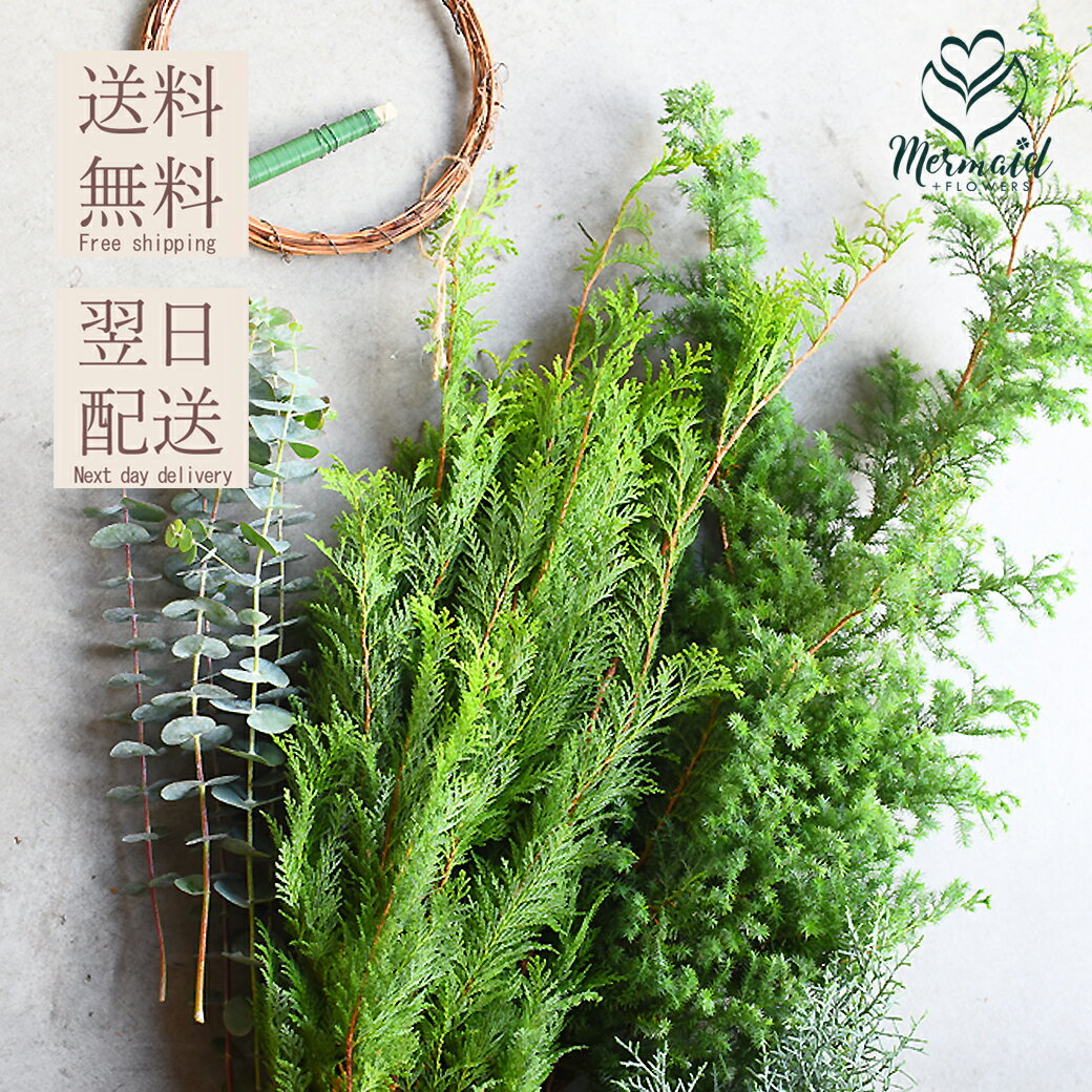 葉物 クリスマス 生花 材料 ヒバ コットン キット 資材