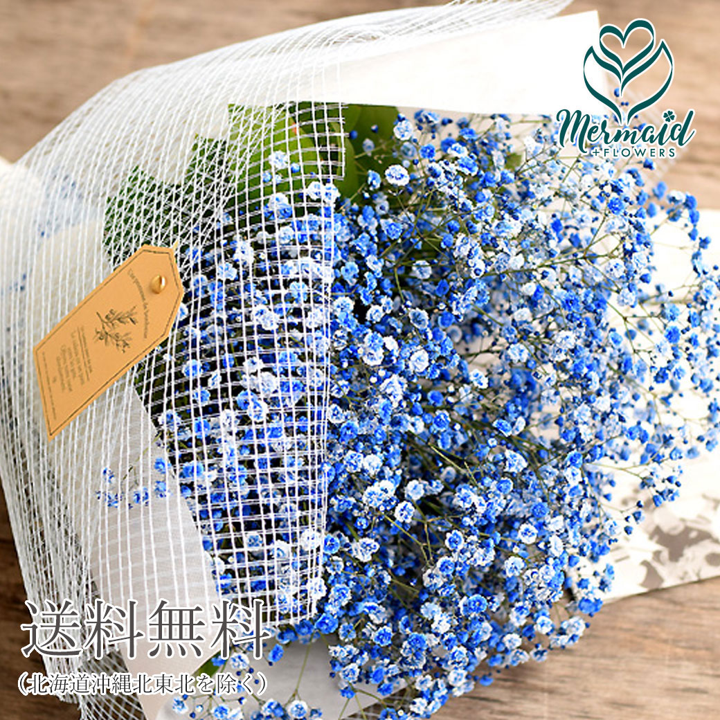 かすみ草 カスミソウ 花束 花 誕生日 バレンタインデー ホワイトデー ひな祭り 節句 お返し ギフト プレゼント 結婚祝い お礼 花束 青いかすみ草 青 ブルー 生花 ドライフラワーにも 送料無料