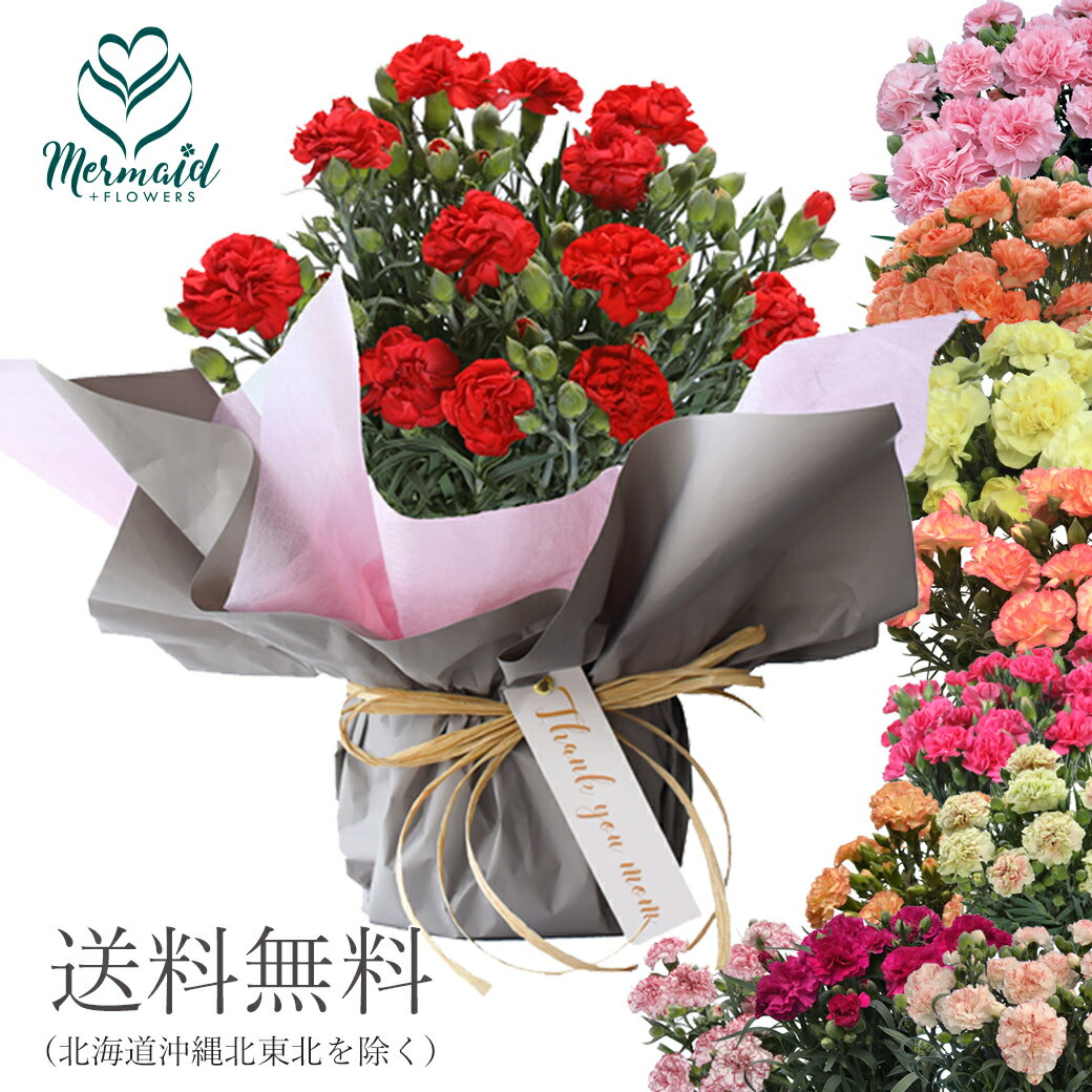 母の日におすすめの花とカーネーションの花言葉をご紹介 Over40からのライフスタイルノート 母の日におすすめの花とカーネーションの花言葉をご紹介 Over40からのライフスタイルノート