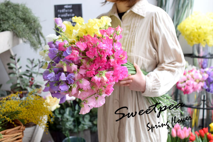誕生日 プレゼント ギフト お祝い プレゼント 花 ギフト フラワー 送別会 退職祝い 結婚記念日 送別 卒業 香り スイートピーの花束 祝い 春の花 バレンタイン ホワイトデー　ひな祭り 節句格安通販　バレンタイン　人気　ランキング