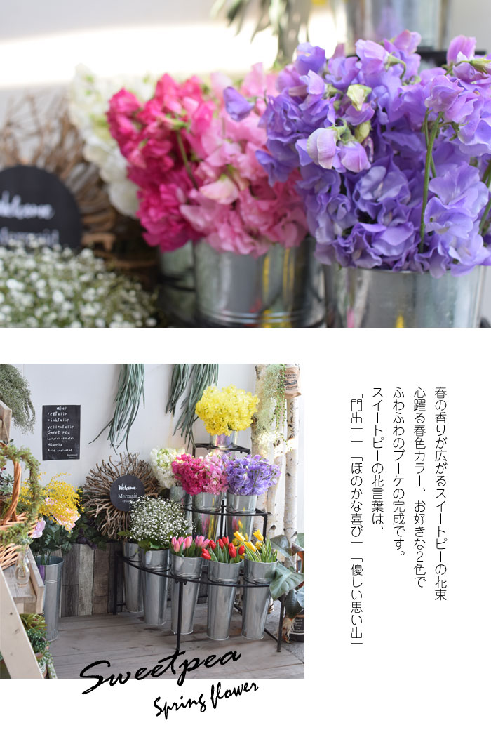 誕生日 プレゼント ギフト お祝い プレゼント 花 ギフト フラワー 送別会 退職祝い 結婚記念日 送別 卒業 香り スイートピーの花束 祝い 春の花 バレンタイン ホワイトデー　ひな祭り 節句格安通販　バレンタイン　人気　ランキング