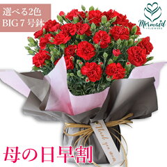 https://thumbnail.image.rakuten.co.jp/@0_mall/ohanakakumei/cabinet/mothersday/ka-ne-7-dai1-24.jpg