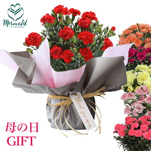 予算5000円｜母の日に贈る花ギフトのおすすめを教えてください