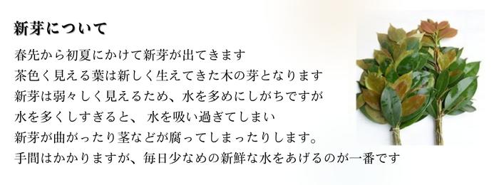 �ڤ�� ���� ������ ������ ���� ���渫�� ���֤� ���� �߲� ���� ���� �������� �ե� �� �軲�� ���� ������ ����ߥ��ե� ���� ̿�� �鼷�� ����� ����� ʩ�� ʩ��