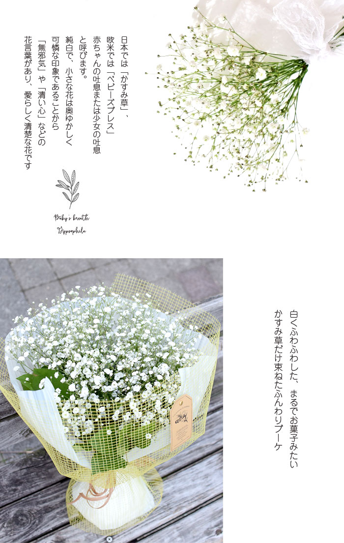 カスミソウの花束に込められた 愛 とは 気になる花言葉をご紹介 暮らし の