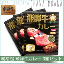 郡上 覇楼館 飛騨牛 カレー 3箱 3人前セット 中辛 250g 飛騨牛100％ レトルトカレー【飛騨高山】