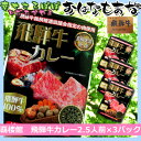 【飛騨高山】郡上 覇楼館 飛騨牛 カレー2.5人前 3箱 中辛 450g 飛騨牛100％ レトルトカレー 最高級のレストランカレー 飛騨美濃特産