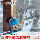 志望校 合格!受験 に 勝つ!合格 までしっかり見守りますよ!一番大きな合格さるぼぼ お守り【必勝合格さるぼぼ 置物】風水 パワースポット湧き水に浸したパワース...