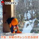 さるぼぼ 子宝 安産・幸運 開運 お守り 約18cm 風水 陣痛中の妊婦さんが描いた赤富士カードをプレゼント 妊娠 出産 妊婦 レディース 母子手帳