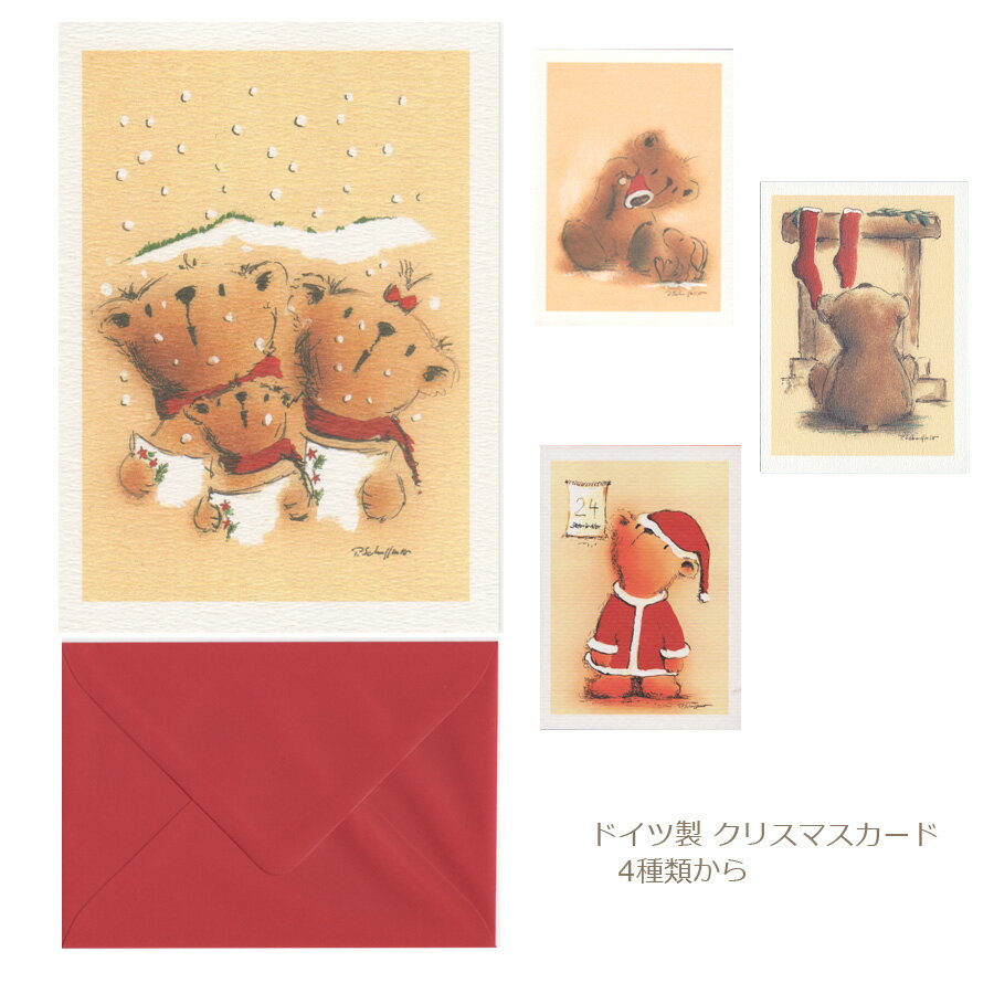 *メール便対応 メッセージカード 花のカード 電報 クリスマスカード サンタさんお花と一緒に贈れます♪【SBZcou1208】