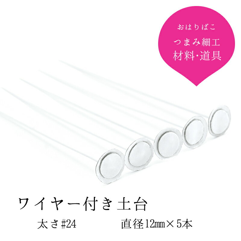 磻䡼դľ12mm #24 5  ڥåȡۤĤޤߺٹ  