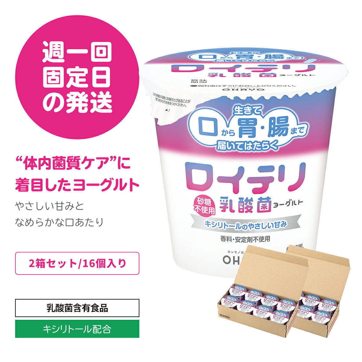 [公式] ロイテリ 乳酸菌 ヨーグルト【110g×16個セット】ロイテリ菌 オハヨー オハヨー乳業 OHAYO 菌活 腸内環境 バイオガイア正規品 プロバイオティクス 砂糖 香料 安定剤 不使用 体内菌質ケア 菌質ケアのサムネイル