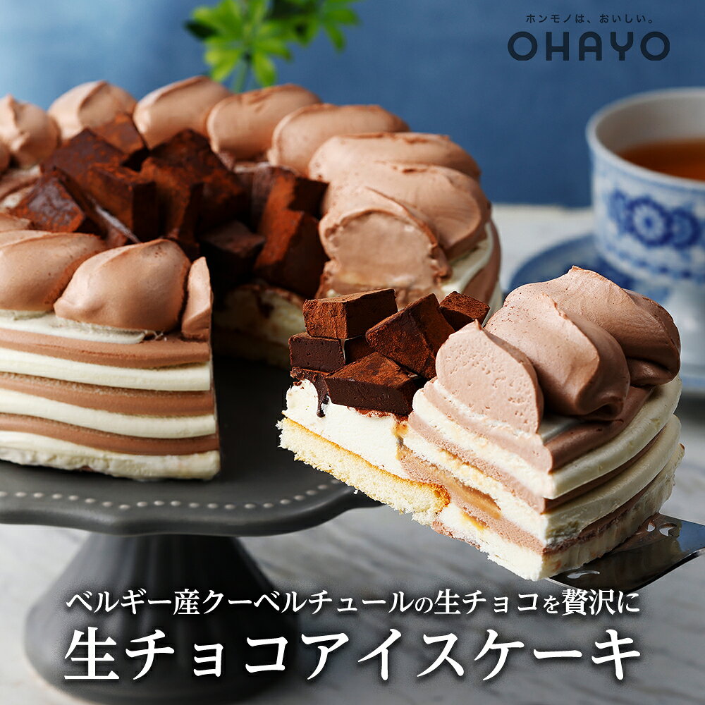 クリスマス オハヨー乳業 生チョコ アイス デコレーション ケーキ クリスマス アイスクリーム ホール チョコレート …