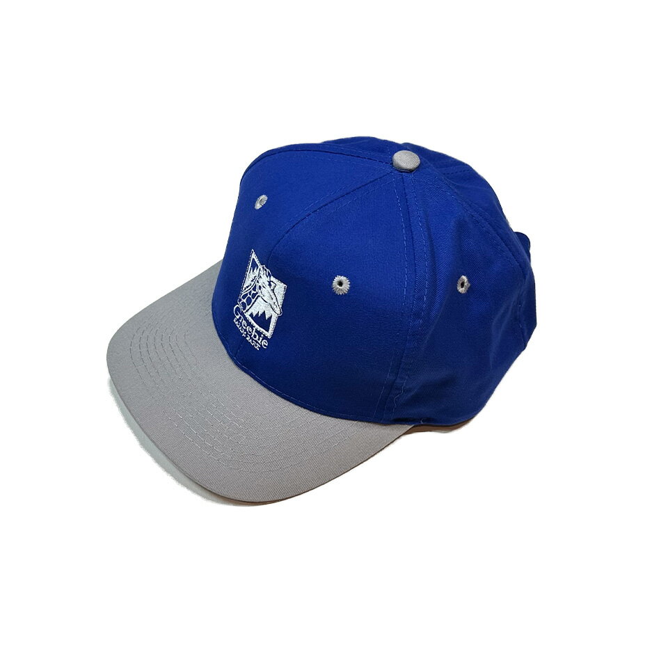 y Greebie / 2TONE Baseball Cap / BLUE ~ GRAY z@O[r[ x[X{[ Lbv 2g[ J[uoCU[ XgbvobN C u[  O[