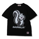 y ANIMALIA / CARTOON KSKUN / BLACK z@Aj}A@TVc@TVc@ubN@@