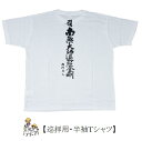 【お遍路グッズ】巡礼用Tシャツ<背文字入・南無大師遍照金剛>半袖Tシャツ【四国遍路】【お遍路用品】【巡礼用品】【巡拝用品】【参拝用品】【八十八ヶ所巡礼】【霊場巡り】【四国巡礼】【四国遍路グッズ】【お遍路 グッズ】【遍路用グッズ】【札所】【札所 グッズ】