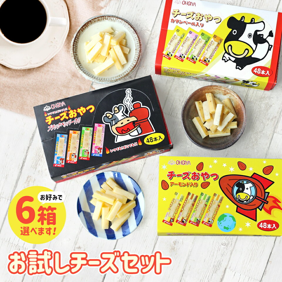 【当商品2セット購入で全19種から1種おまけつき】 珍味 チーズおやつ 48個入り 6箱 送料無料 おやつ お菓子 おつまみ 酒のつまみ チーズ ちーず 個包装 お得なセット 代引き手数料無料