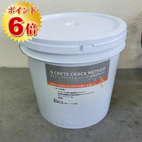 Sクリートクラックセット(クラック注入タイプ)　2.22kgセット【送料無料】 コンクリート/クラック/補修/バークス環境