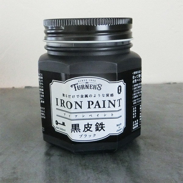 ڥȹŴŴ֥å200ml(2ʿ/2ɤ)IRON PAINT/ʡ////饹/°//