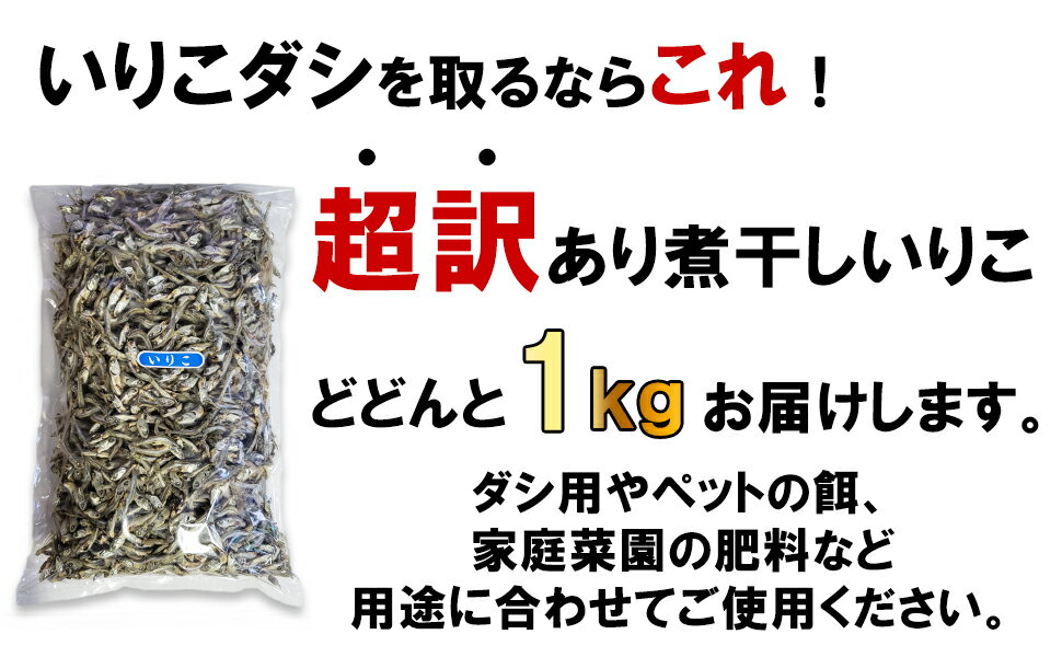 超訳あり 煮干しいりこ 1kg だし用 2