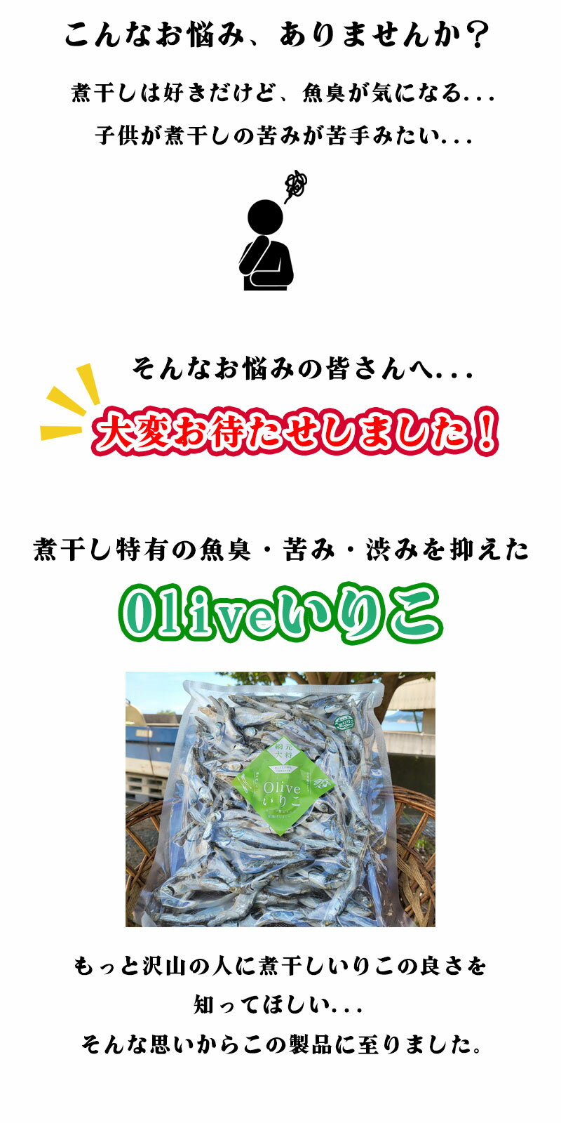 香川県産煮干し オリーブいりこ 贈答用いりこ ...の紹介画像2