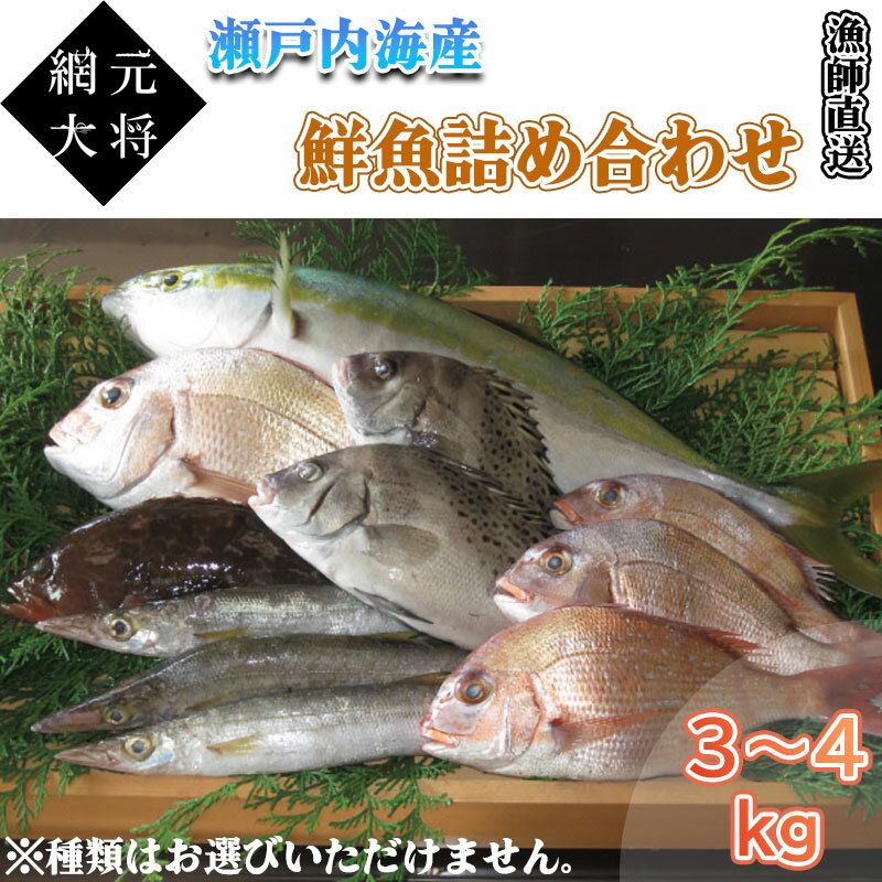 Rakuten - 瀬戸内の鮮魚盛り合わせセット約3～4kg【冷蔵便】【鮮魚】