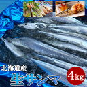 \刺身で食べれる新鮮さんま/北海道産 生さんま 4kg 28-32尾入