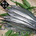 瀬戸内海産 生さより1kg 鮮魚 刺身