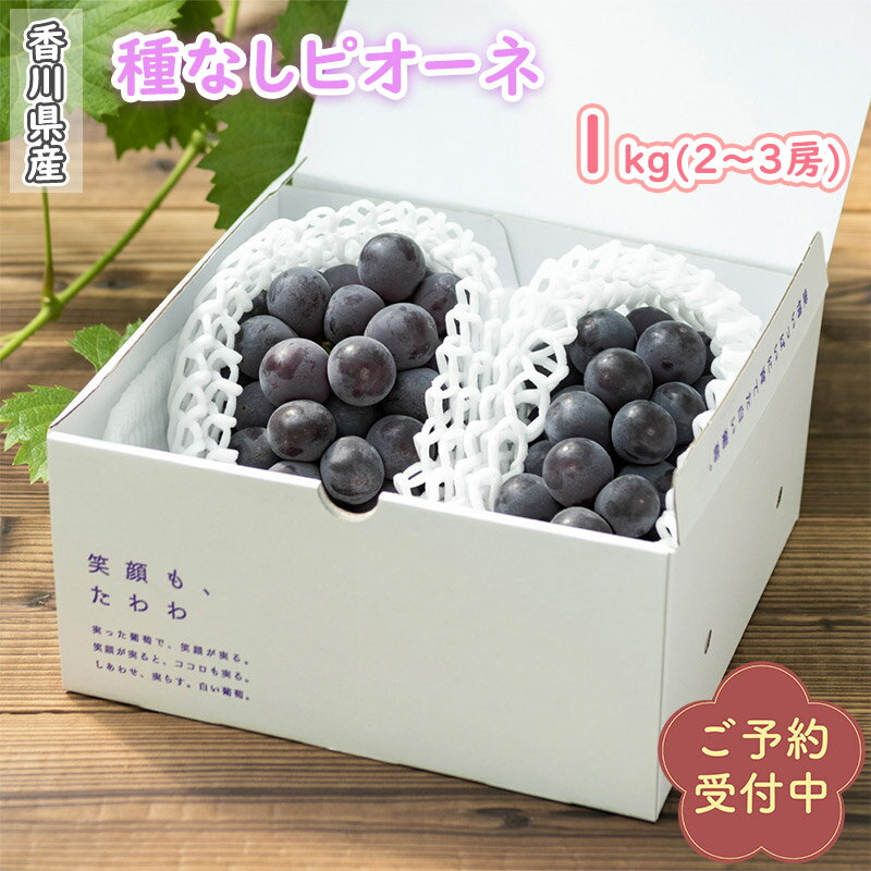 香川県産 ピオーネ 2～3房入り（1kg箱）"8月中旬頃～発送予定"【種無し ぶどう 葡萄 ブドウ 贈り物 ギフト プレゼント 果物 贈答】のサムネイル