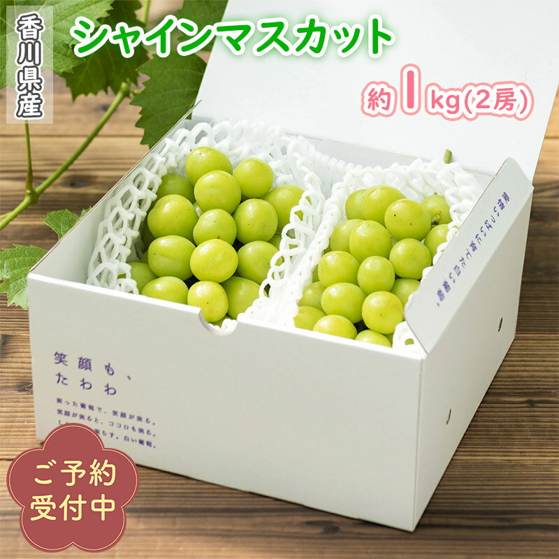 Rakuten - シャインマスカット　2房入り（1kg箱）超樹上完熟 