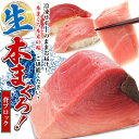 送料無料:国産の生本マグロ(クロマグロ)背ブロック約1kg赤身、中とろ、背トロ(エンガワ)がぜ〜〜んぶ味わえちゃう♪冷蔵発送商品:最高級品種:くろまぐろ(本マグ...