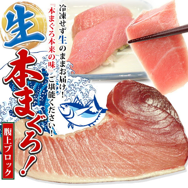 国産【生本マグロの腹上】約800g（約5〜6人前）目安⇒刺身約48切れ最高級品種　国産くろまぐろ（本 ...