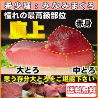 まぐろ 冷凍まぐろ 年末年始の南鮪