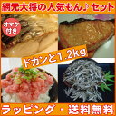 送料無料：【網元大将の人気もん♪セット】（約4人前）ねぎとろ、トロさば、サーモン、煮干いりこ、極細ちりめん送料無料でお中元、お歳暮などのギフトにも最適【さば】【さけ】【まぐろ】【乾物】【にぼし】【冷凍魚】【冷凍便】【ギフト】