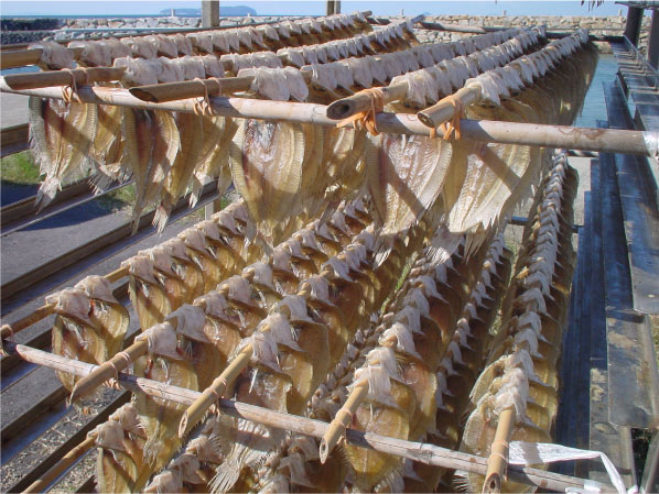 ������ΤǤӤ餫�줤