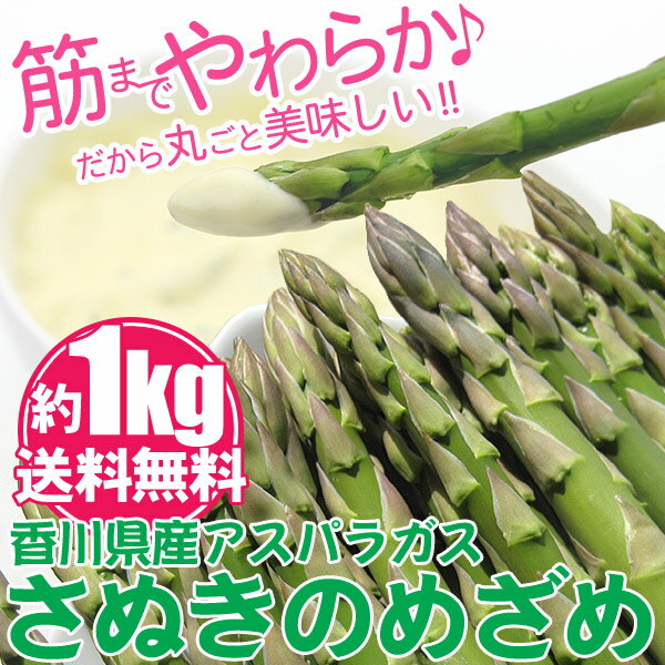 全国お取り寄せグルメ食品ランキング[アスパラガス(31～60位)]第46位