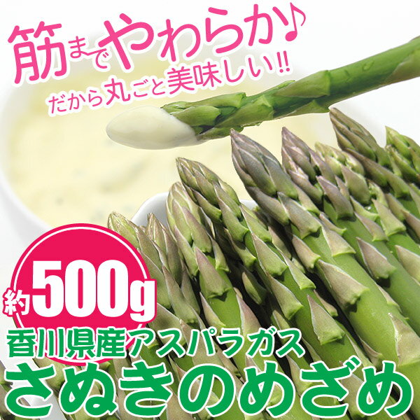 海のグリーンアスパラガス「さぬきのめざめ」500g