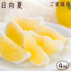 日向夏4kg(ご家庭用)(4月初旬より発送開始)
