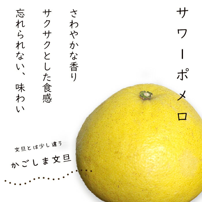 【予約・2月下旬発送】（ご家庭用）サワーポメロ3.5kg 訳あり 送料無料 かごしま文旦