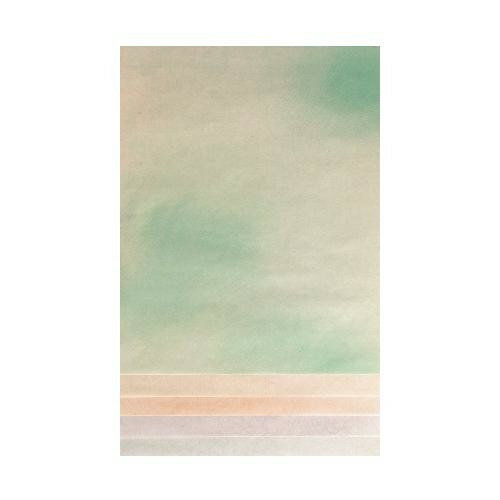 新料紙 あおやぎ 細字 5色セット 半紙判 100枚 AG11-1 【代引き・同梱不可】